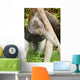 Anteater Thailand Wall Decal