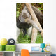 Anteater Thailand Wall Decal