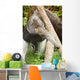 Anteater Thailand Wall Decal
