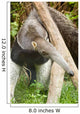 Anteater Thailand Wall Decal