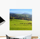 Appenzell Wall Decal Design 1