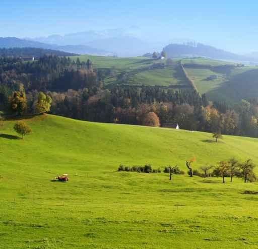 Appenzell Wall Decal Design 1
