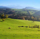 Appenzell Wall Decal Design 1