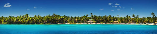 Exotic Palms Tropical Beach Wall Decal Panoramic Wall Decal