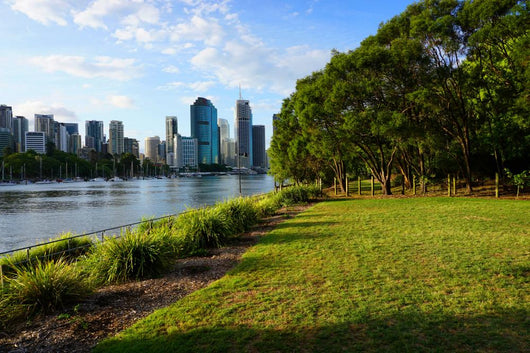 Brisbane City Wall Decal