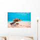 Endangered Hawaiian Sea Turtle Wall Decal