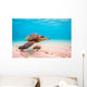 Endangered Hawaiian Sea Turtle Wall Decal