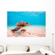 Endangered Hawaiian Sea Turtle Wall Decal