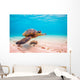 Endangered Hawaiian Sea Turtle Wall Decal