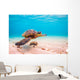 Endangered Hawaiian Sea Turtle Wall Decal
