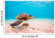 Endangered Hawaiian Sea Turtle Wall Decal