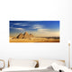 Egypt Cairo Giza General Wall Decal