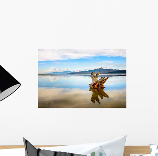 Antelope Island State Park Wall Decal