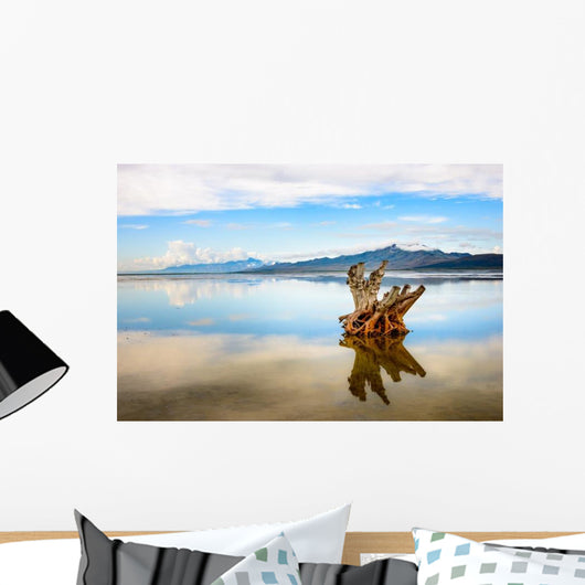 Antelope Island State Park Wall Decal