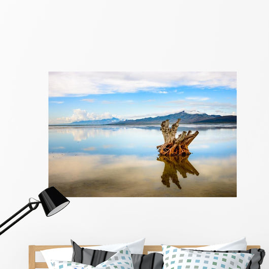 Antelope Island State Park Wall Decal