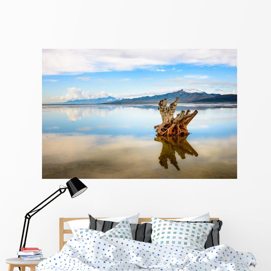 Antelope Island State Park Wall Decal