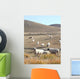 Mongolia Wall Decal