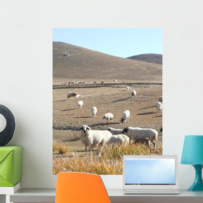 Mongolia Wall Decal shown on a wall