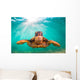 Endangered Hawaiian Green Sea Wall Decal