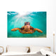 Endangered Hawaiian Green Sea Wall Decal