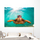 Endangered Hawaiian Green Sea Wall Decal