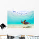 Pacific Ocean Turtle Hawaii Wall Decal