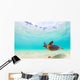 Pacific Ocean Turtle Hawaii Wall Decal