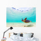 Pacific Ocean Turtle Hawaii Wall Decal