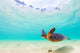Pacific Ocean Turtle Hawaii Wall Decal