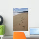 Footprint Sands Wall Decal