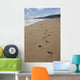 Footprint Sands Wall Decal