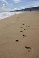 Footprint Sands Wall Decal