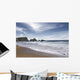 Black Sea Beach Wall Decal