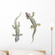 Tokay Geckos Wall Decal