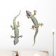 Tokay Geckos Wall Decal