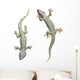 Tokay Geckos Wall Decal