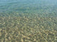 Sea Water Wall Decal
