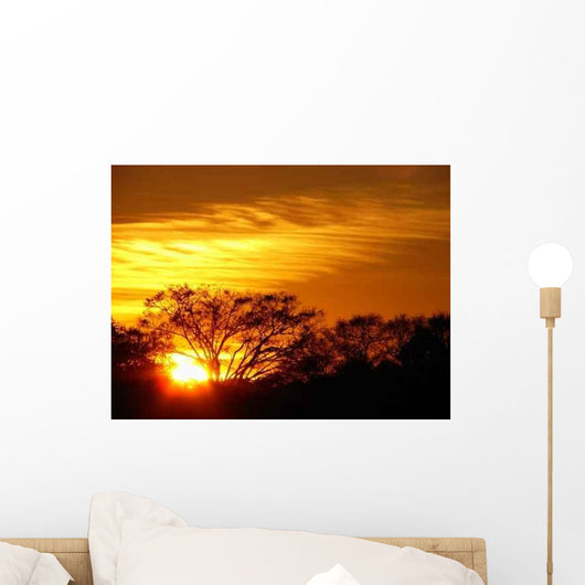 Sunset Wall Decal Design 4