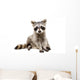 Adorable Baby Raccoon Wall Decal