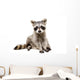 Adorable Baby Raccoon Wall Decal