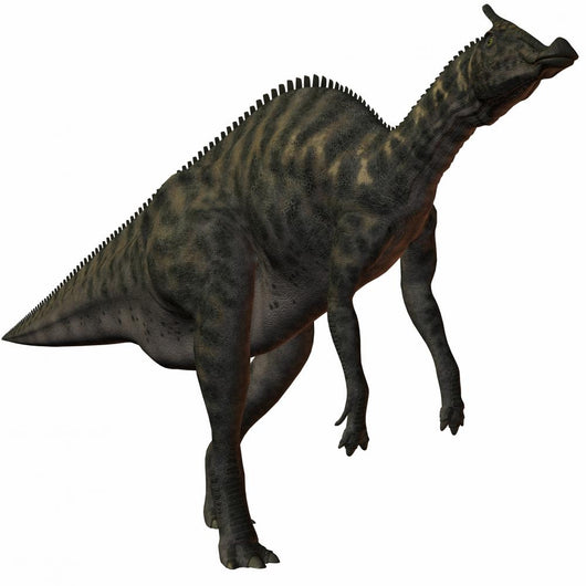 Saurolophus Angustirostris-3d Dinosaur Wall Decal