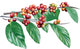 Coffee Wall Decal