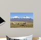 Snowcapped Volcanoes Bolivia Wall Decal