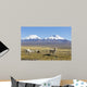 Snowcapped Volcanoes Bolivia Wall Decal