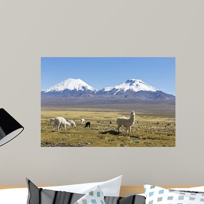 Snowcapped Volcanoes Bolivia Wall Decal shown on a wall
