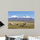 Snowcapped Volcanoes Bolivia Wall Decal