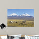 Snowcapped Volcanoes Bolivia Wall Decal