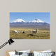 Snowcapped Volcanoes Bolivia Wall Decal