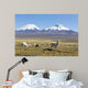 Snowcapped Volcanoes Bolivia Wall Decal