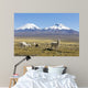 Snowcapped Volcanoes Bolivia Wall Decal